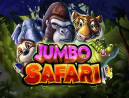 Jumbo Safari